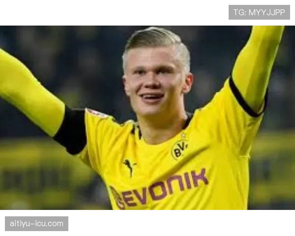 哈兰德效率与体系贡献是否被高估