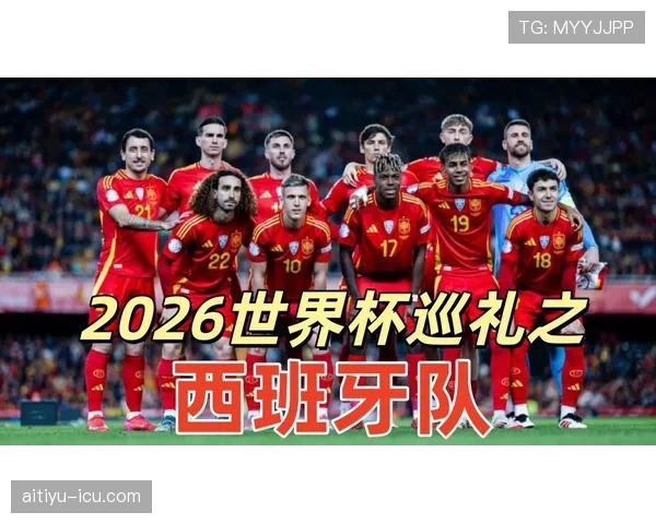 世界杯H组哪支球队最稳定